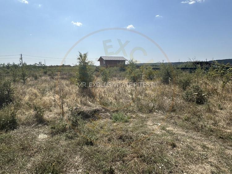 Teren zona Magic Trivale intravilan 1040 mp - 3