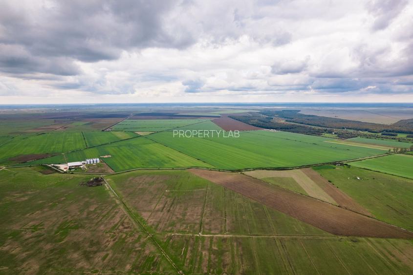 Teren 13500000 mp în Socodor - 10