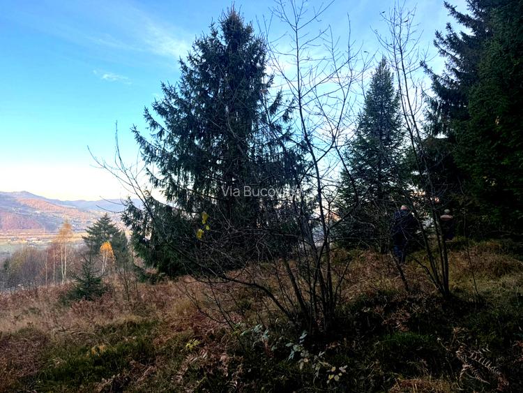 Vanzare 5,3 ha pasune deasupra Voronetului Suceava - Proiect Turistic - 5