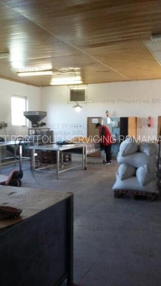 Spatiu industrial, Manoleasa, Botosani - 4