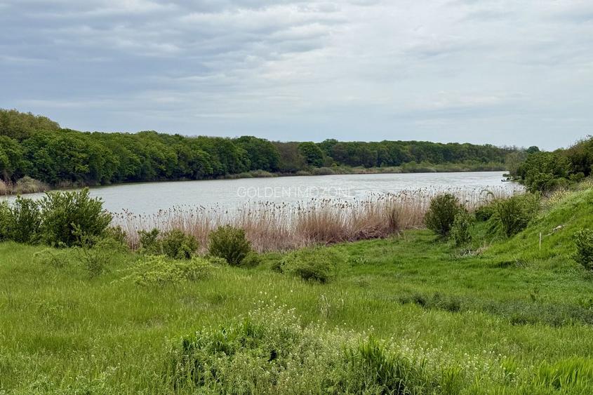 Teren intravilan de 1000 mp în Grădiștea, Ilfov – ideal pentru casa ta - 6