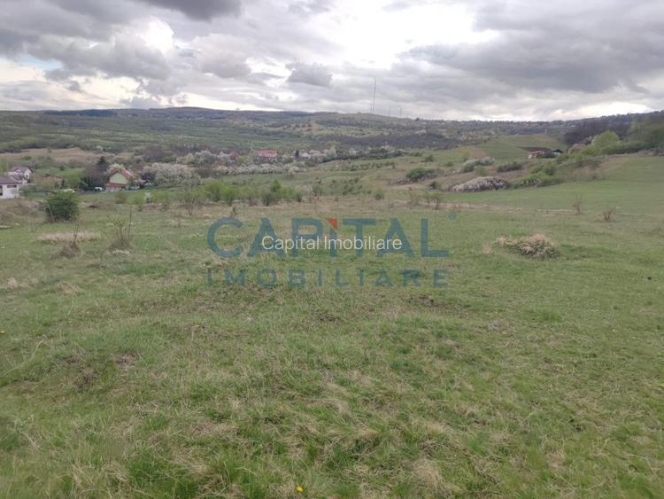 Comision 0! teren intravilan 5500mp, utilitati,  zona, strazii Veseliei Borhanci - 4