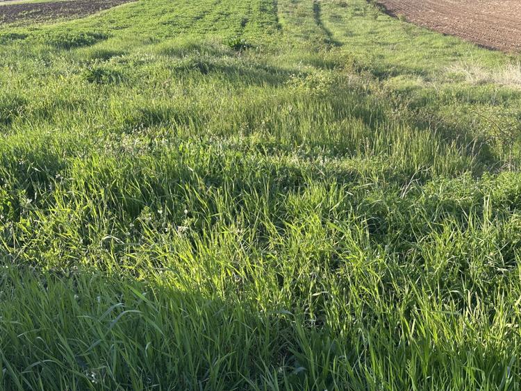 Teren Intravilan de vanzare in Alba Iulia zona Micesti in suprafata de 1077 mp