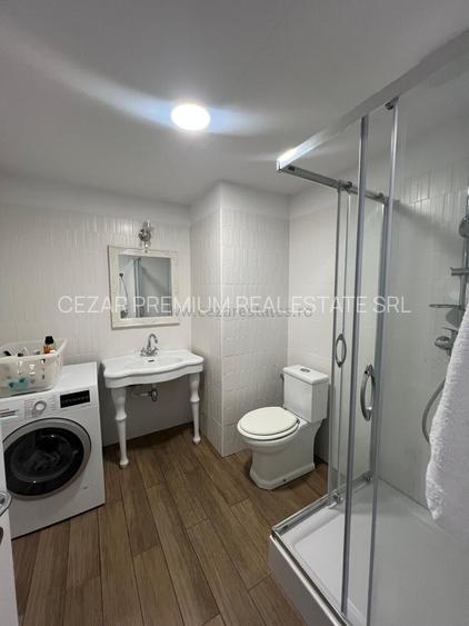 HERASTRAU SOSEAUA NORDULUI  DE VINZARE SPATIU COMERCIAL - 11