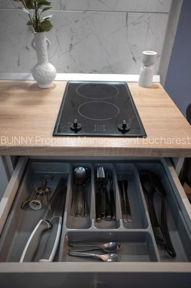 AR4163-LU1 - 2 min walk Calea Victoriei - 1 min walk Sala Palatului -Fixed Price - 14