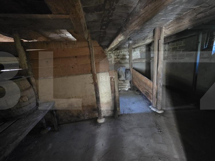 Casa individuala, teren intravilan 3409 mp, zona Dalnic. - 10
