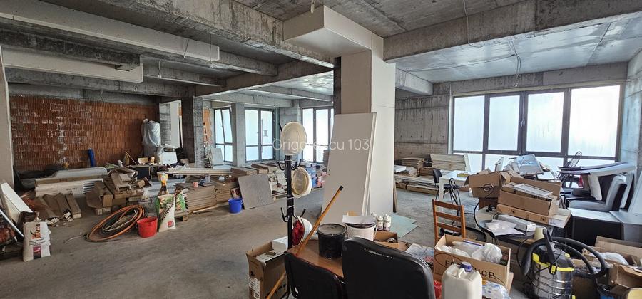 Titan - Nicolae Grigorescu | Sector 3 | Vanzarea spatiu comercial  185 mp - 11