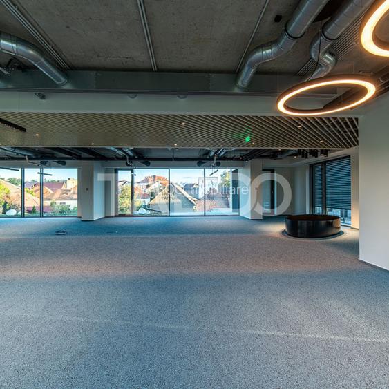 Birouri premium in Sibiu–Spatii flexibile moderne pentru companii - 14