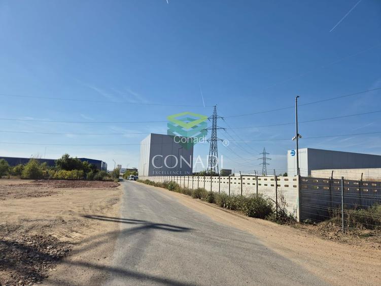 Teren Cernica - Oxigenului -  4.624 mp - 2