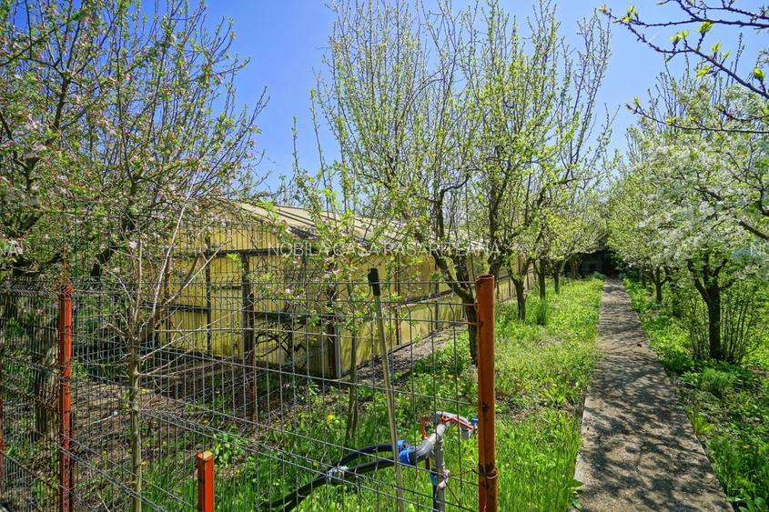 VILA CU PISCINA SCROVISTEA, IDEALA CAMIN DE BATRANI - 6