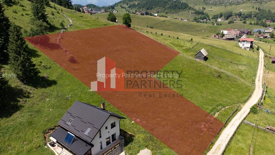 Teren Fundatica intravilan 4500 mp - 2