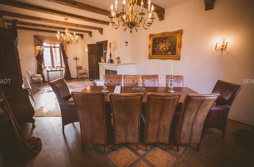 Podgorie de vita-de-vie nobila cu conac boieresc - 6