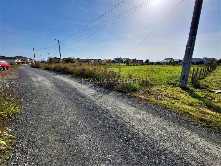 677mp  - Teren Mosnita - Cartier Europa, in apropiere de Lidl - 5