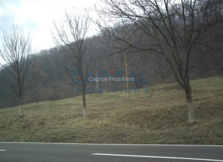 Teren intravilan jud. Mures - 2