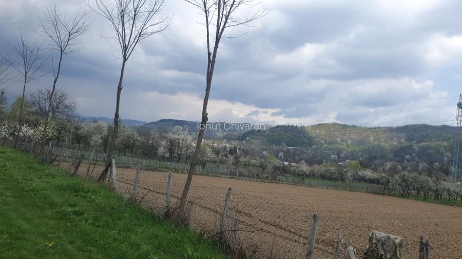 OPORTUNITATE UNICĂ ÎN TOMȘANI (LÂNGĂ HOREZU) – ANSAMBLU TERENURI 9.364 MP - 7