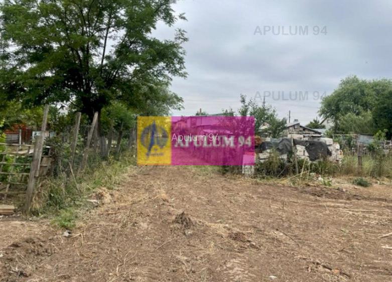 Teren Domnesti- Mega Image. - 4