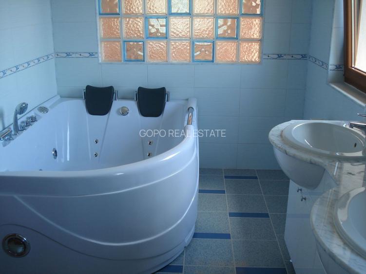 Vila Snagov langa padure / lac - 9