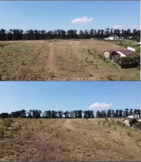 Teren de vanzare intravilan in Branesti IF - 2