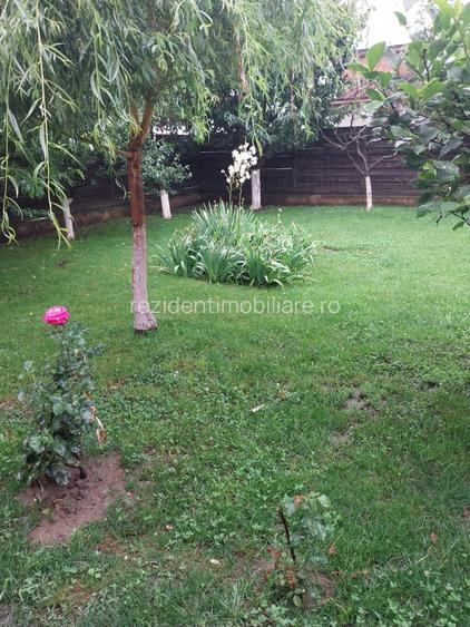 Casă de vânzare Domnești Teghes – proprietate individuală, zonă verde - 5