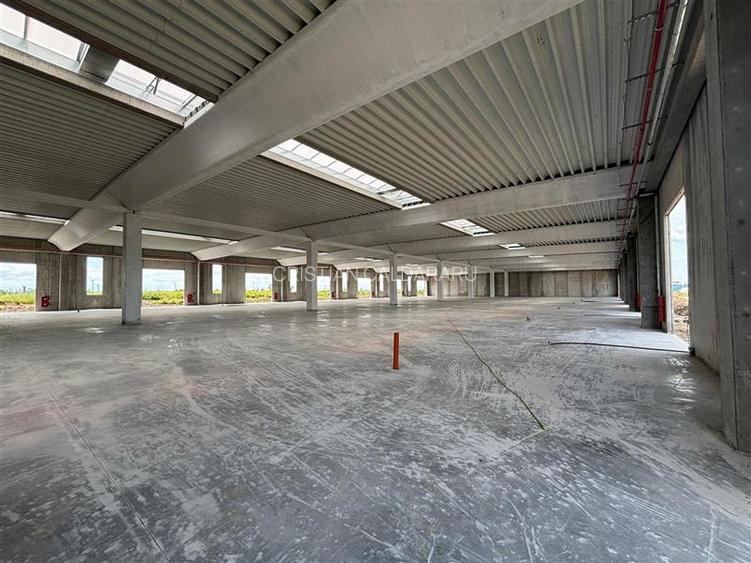 Vanzare depozit/spatiu industrial/hala Chitila - Rudeni, ILFOV - 2