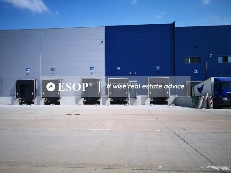 Logicor Mogosoaia - Hale / Spatii Depozitare / Logistice, 0% comision - 4