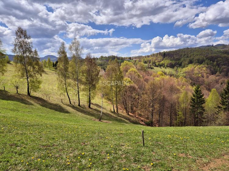 Teren de poveste, intru-un sat de poveste Pestera/Moeciu/Brasov - 9