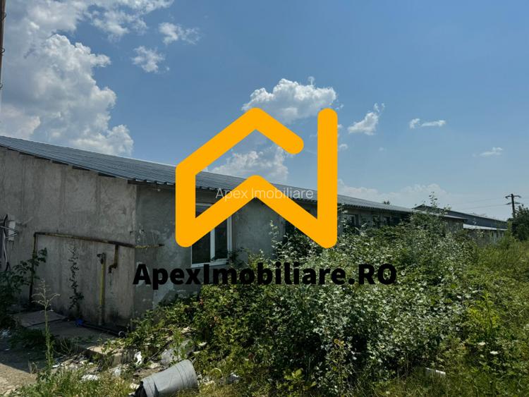 Hale Industriale de Vânzare Baicoi – 1100 mp + 800 mp, teren 5500 mp - 6