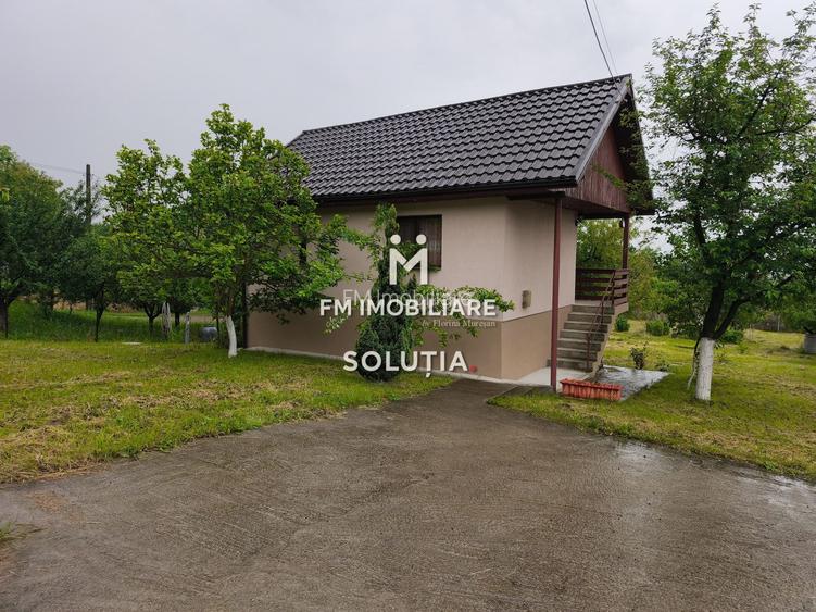 Casă P+1 de vânzare în Cicârlău – zonă superbă, 11 ari teren! - 12