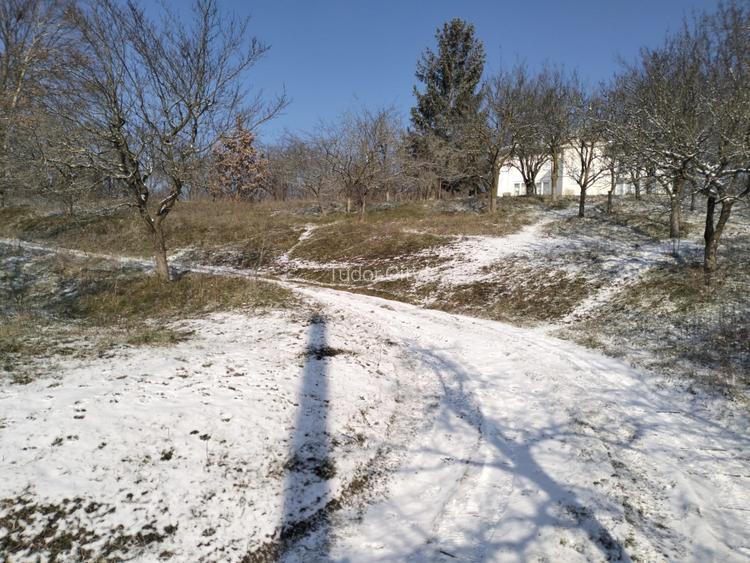 Moșia boierească din vârf de deal, Scorțeni - Prahova, comision 0% - 3