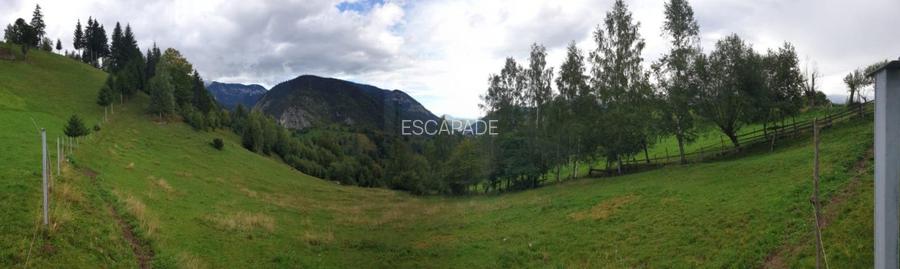 Teren cu energie speciala, Pestera/ 13570mp extravilan/Comision 0 % - 3