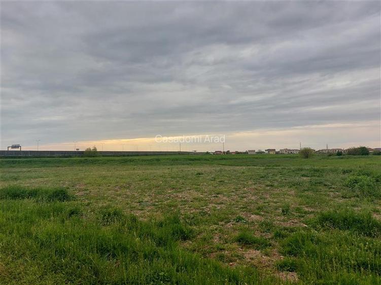 Teren intravilan langa autostrada, Aradul Nou - 4