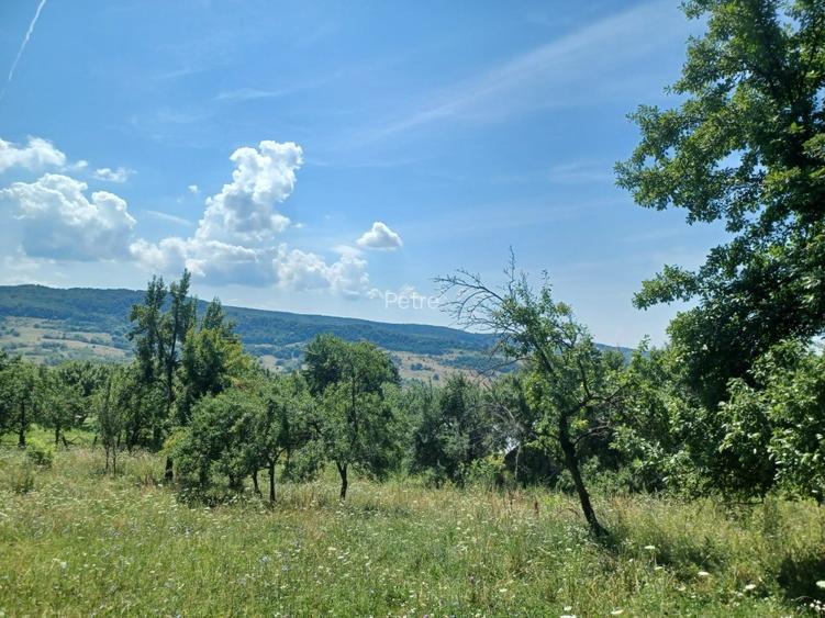 24.141 mp 1h30' de Bucuresti -  ideal casa sau complex retreat - 7