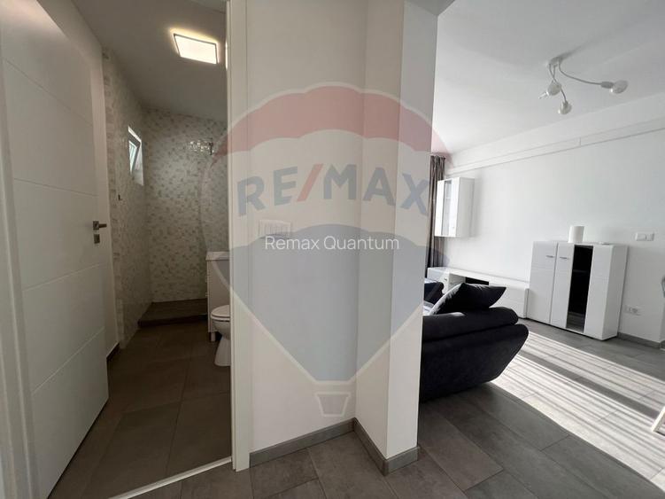 De închiriat apartament cu 2 camere în zona Nufarul - 13