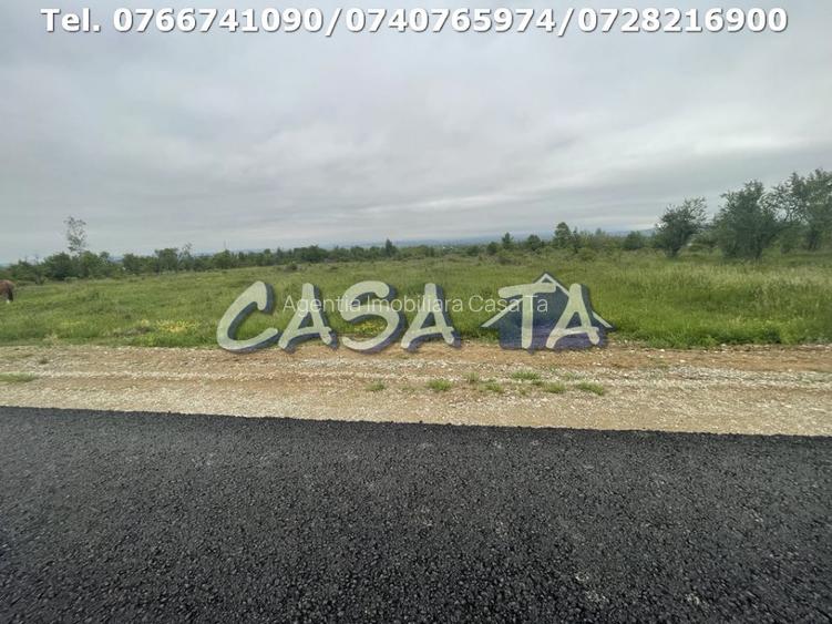 Teren Intravilan (4718 mp), Danesti - 2