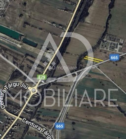 Teren intravilan 1160 mp – Ideal pentru investiție sau locuință - 5