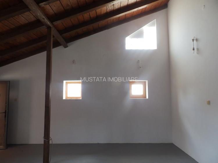 Casa parter plus Mansarda zona Ultracentrala, teren 550mp - 10