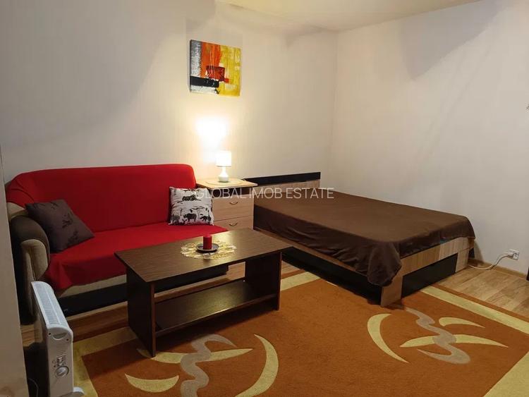 Inchiriere Garsoniera Zona Centrala Park Lake Mall Dristor - 2