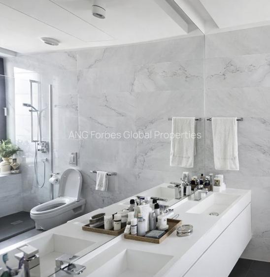 Apartament 4 camere  ultralux  Herastrau - 9