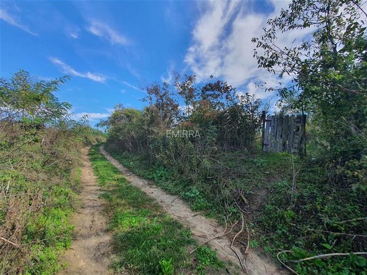 Teren de vanzare in Hemeius Margineni, judetul Bacau - 9