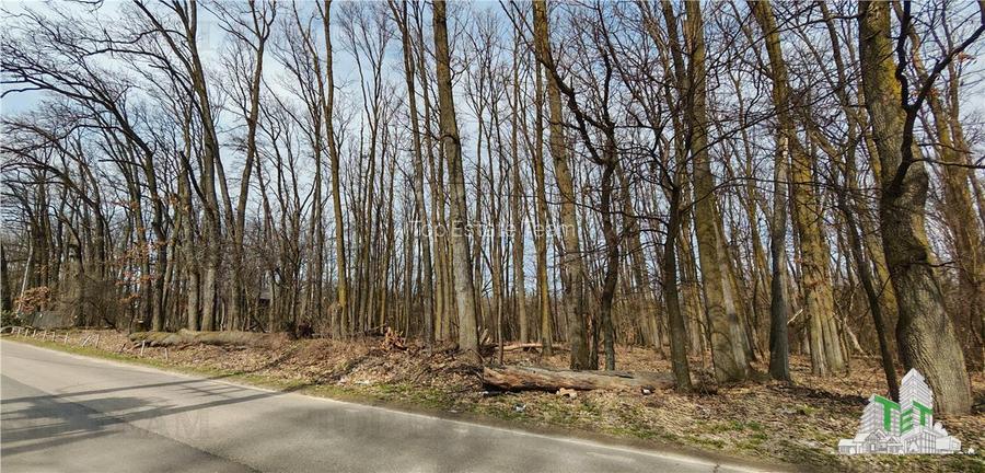 Teren / Padure in Corbeanca - Radarului - 3