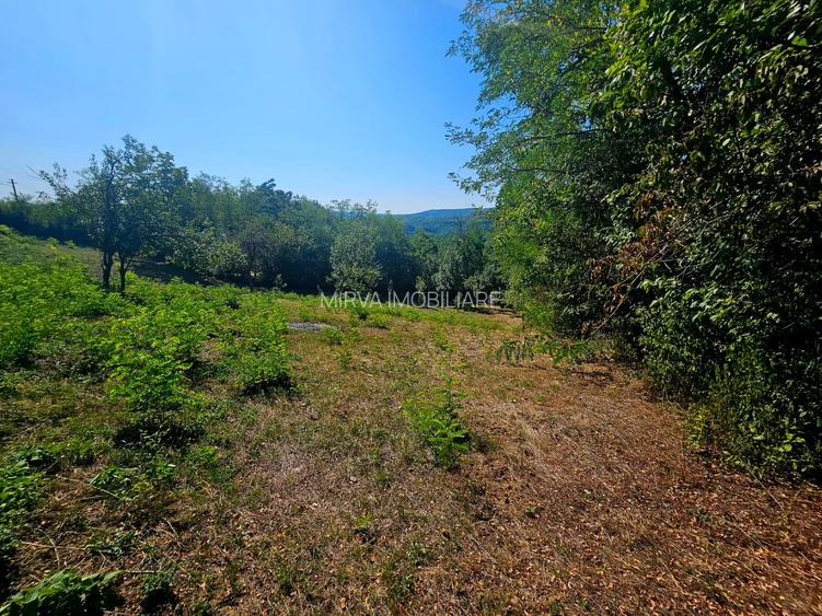 Teren intravilan 2322 mp, Păcuri – vedere superbă spre pădure! - 5