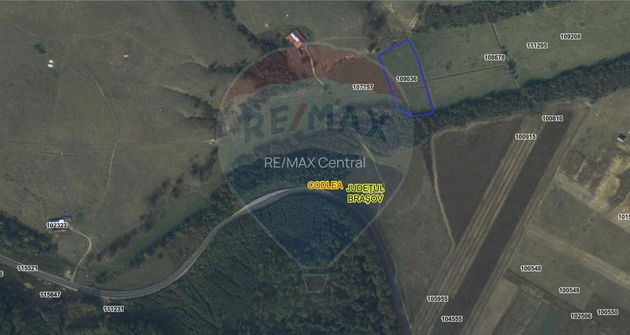 Teren 10,000mp Codlea / DN 1 - 7