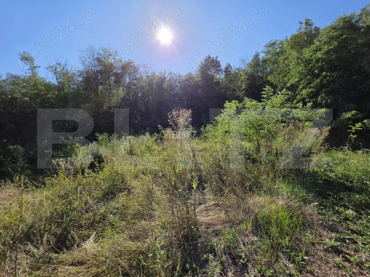 Casă 70 mp– Valea Caselor, Dâmbovița - 9