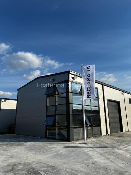Hale industriale 300-1000 mp Chitila - 100m DNCB / Statie RATB - 7