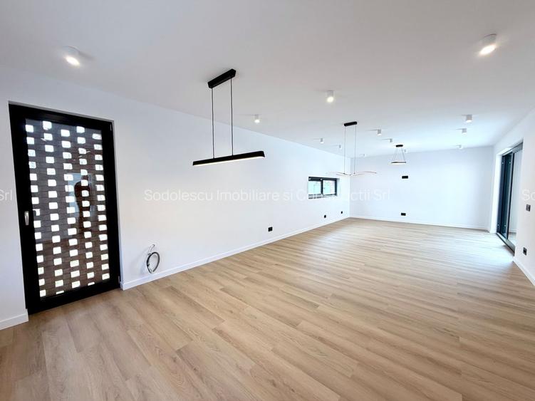 PROIECT DEOSEBIT ZONA LIPOVEI - 2