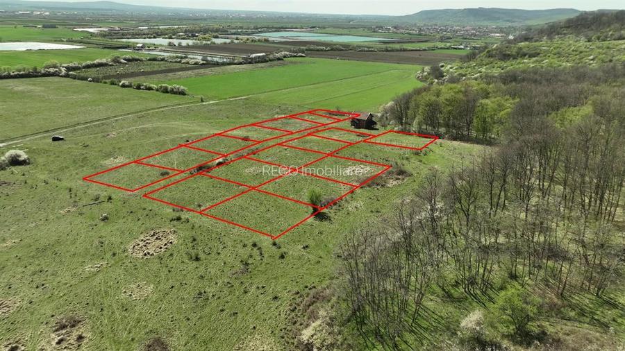 RECO, teren intravilan, Ineu,Bihor - 2