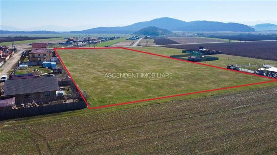 Teren intravilan 18.200mp, cu PUZ si PUD, ideal constructi case, Bod, Brasov. - 11