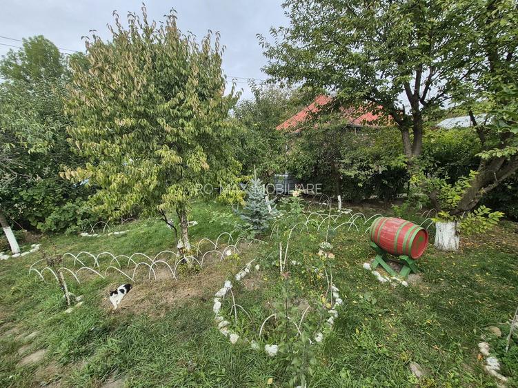 Vila 4 camere + teren 818 mp central Provita de Sus (lângă școală) - 51