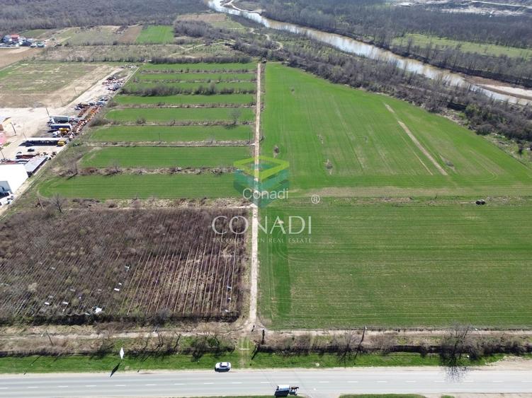 Teren de vanzare -  Bolintin Vale 10 ha - 3