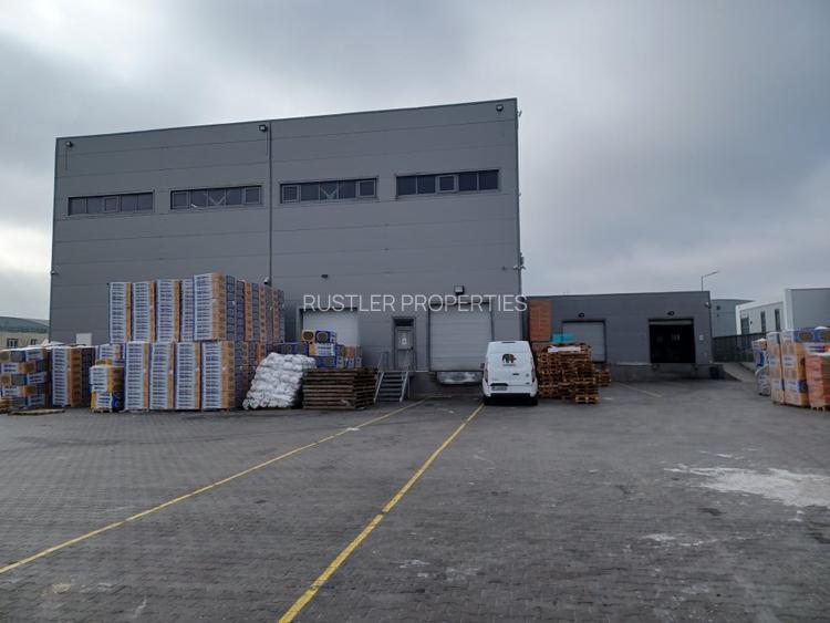 Hala de vanzare Otopeni - 7